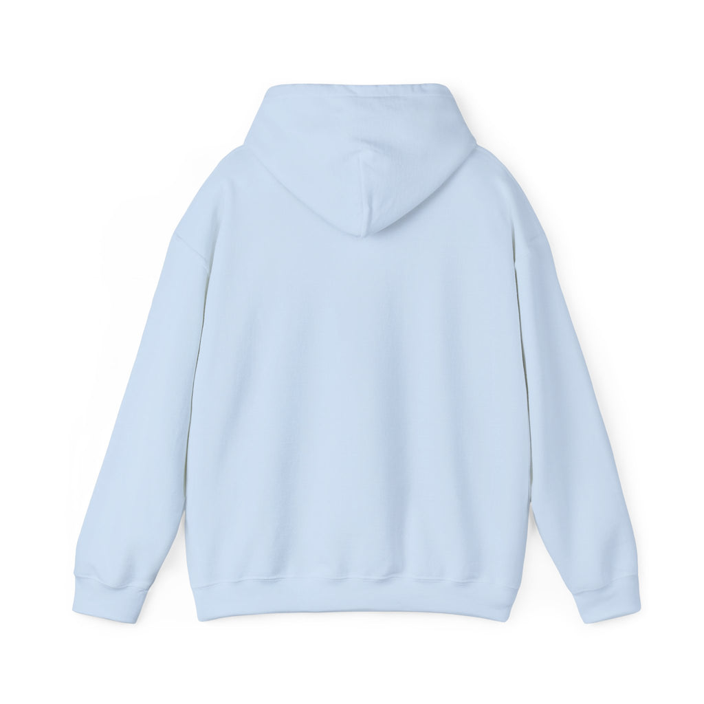 20X10 Hoodie — Logo Pullover Sweatshirt